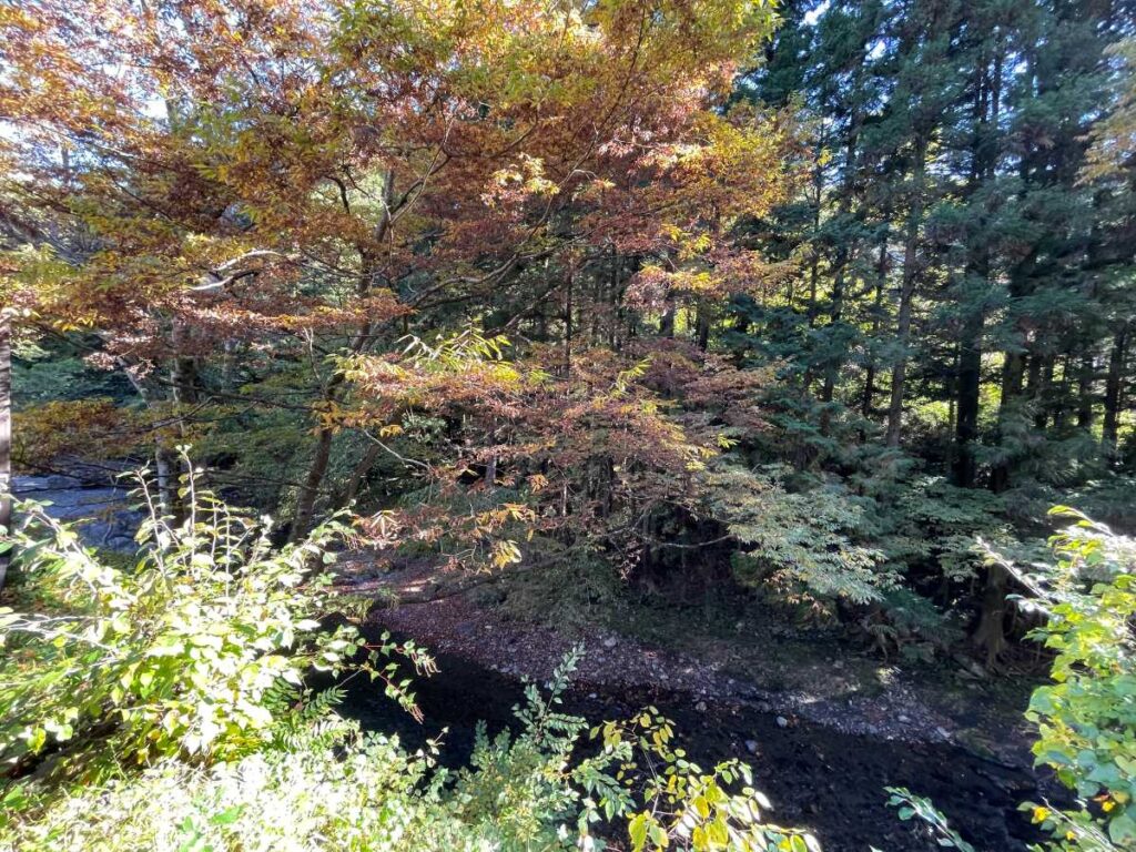 コテージNo.8清流・秋川の眺望